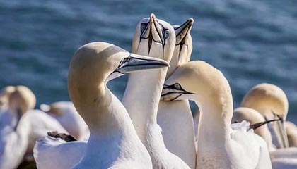 WTT球星挑战赛伦敦站：中国队提前包揽女双冠亚军